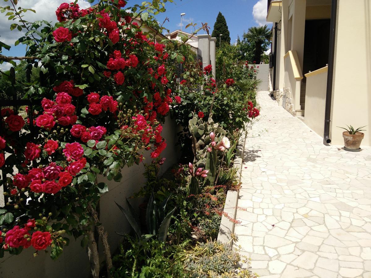 B&B Green Da Maria Matera Dış mekan fotoğraf